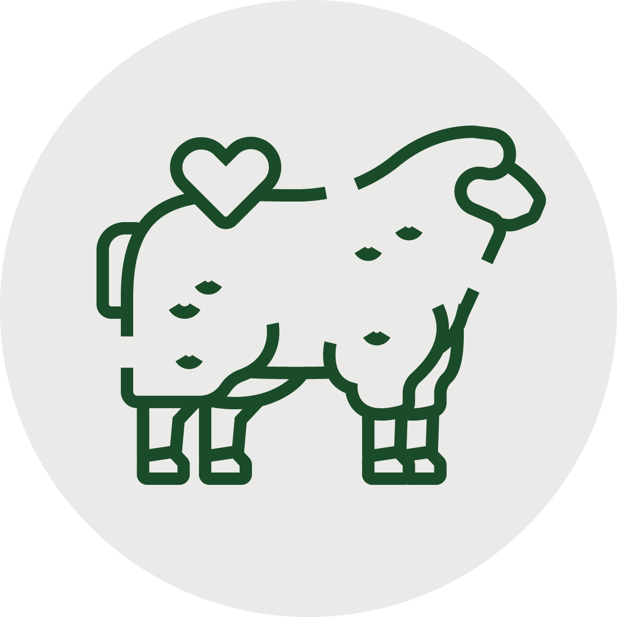 KURBAN
